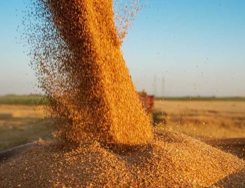 Молдова скасує обмеження на імпорт зерна з України