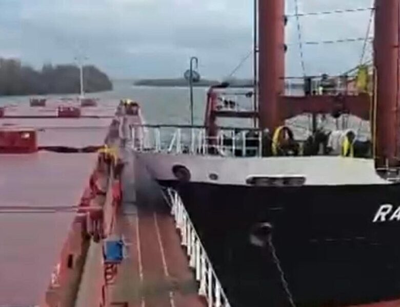 На Дунаї балкер протаранив суховантаж з українською пшеницею