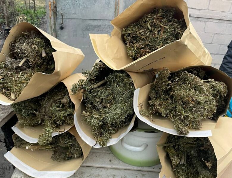 На Харківщині у наркозбувачів вилучили понад 10 кг канабісу