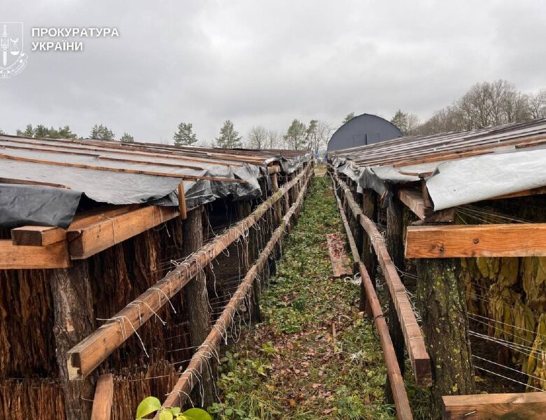 На Хмельниччині викрили підпільне виробництво тютюну