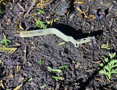 На Львівщині в ресторані вибухнула граната