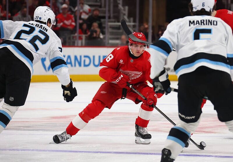 НХЛ: домашня невдача Детройта та поразка Вегаса