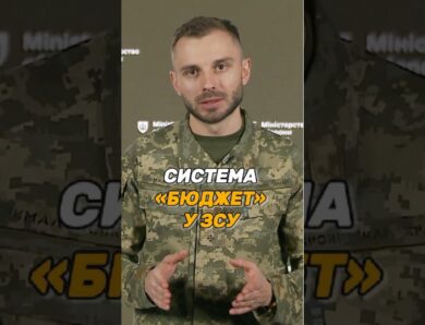 СИСТЕМА «БЮДЖЕТ» У #ЗСУ