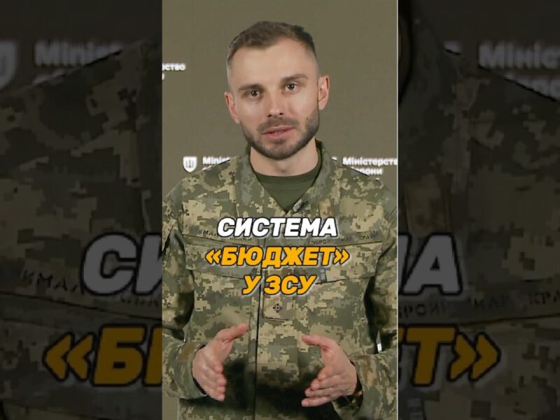 СИСТЕМА «БЮДЖЕТ» У #ЗСУ