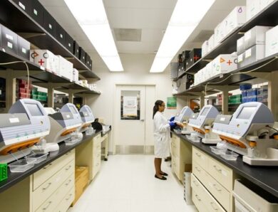 Ожиріння суттєво пришвидшує розвиток хвороби Альцгеймера – дослідження