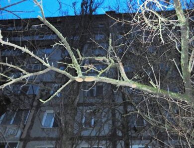 Поліціянти розслідують загибель дівчини у заблокованій квартирі Миколаєва