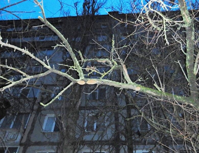 Поліціянти розслідують загибель дівчини у заблокованій квартирі Миколаєва