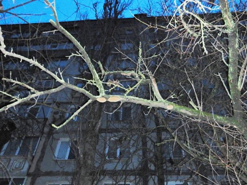 Поліціянти розслідують загибель дівчини у заблокованій квартирі Миколаєва