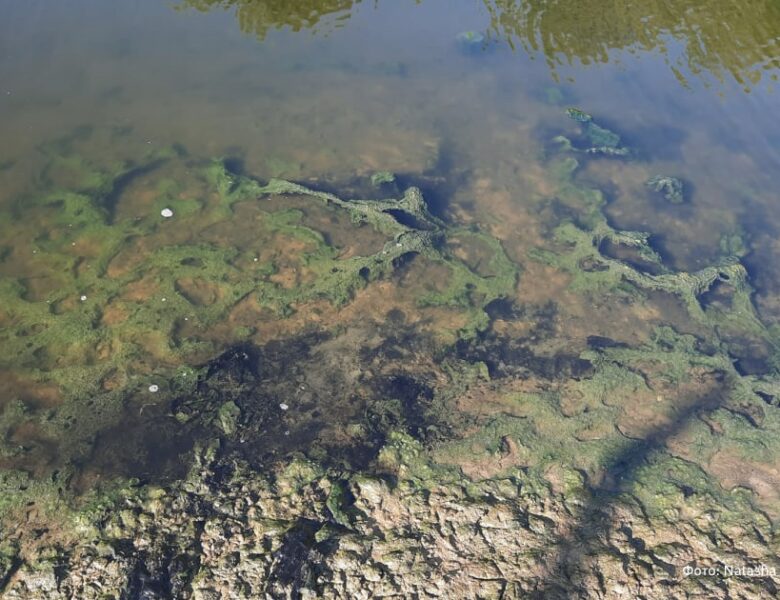Річку в Луганську окупанти перетворили на токсичний колектор – ЦНС