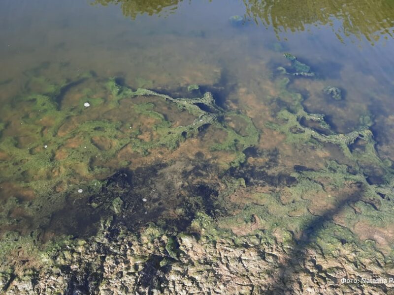 Річку в Луганську окупанти перетворили на токсичний колектор – ЦНС
