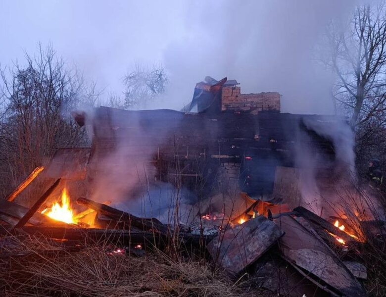 Росіяни обстріляли ферму на Чернігівщині: загинули корови