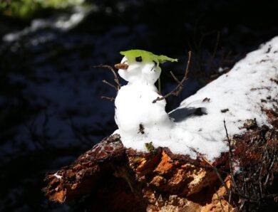 Синоптики дали прогноз погоди на січень 2026 року