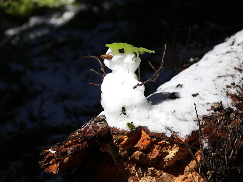 Синоптики дали прогноз погоди на січень 2026 року