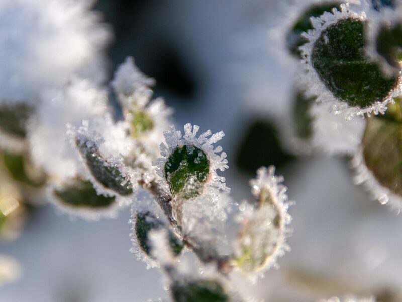 Синоптики розповіли, якою буде погода на Різдво