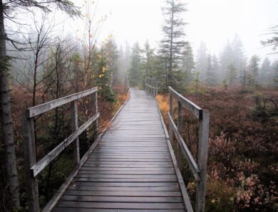 Синоптики розповіли, якою буде погода в Україні на вихідних