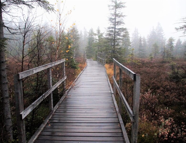 Синоптики розповіли, якою буде погода в Україні на вихідних