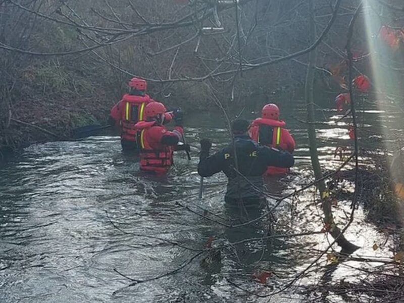 У Чехії вбито 22-річну українку: розкрито подробиці злочину