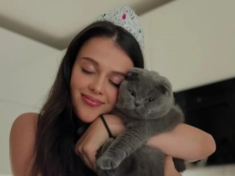 Українка розповіла, як заробляє її кіт