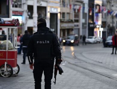 В Туреччині затримали 115 прибічників ІДІЛ