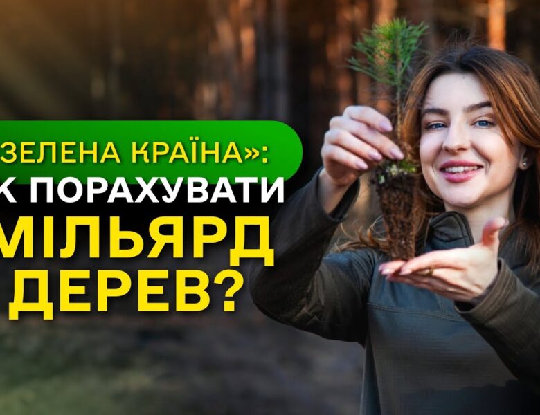 МІЛЬЯРД ДЕРЕВ зʼявився в Україні / як ДП “Ліси України” реалізували програму ЗЕЛЕНА КРАЇНА?