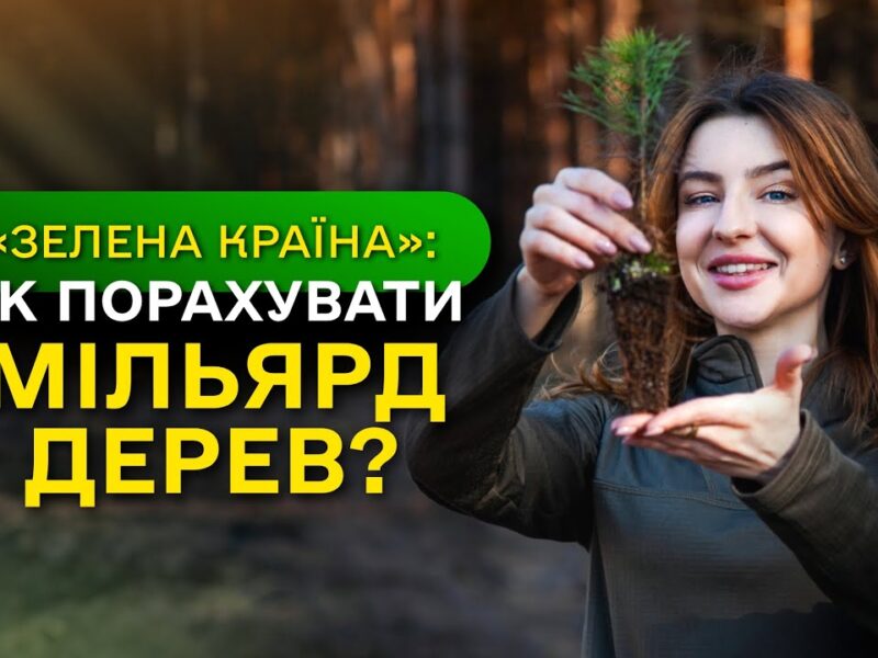 МІЛЬЯРД ДЕРЕВ зʼявився в Україні / як ДП “Ліси України” реалізували програму ЗЕЛЕНА КРАЇНА?