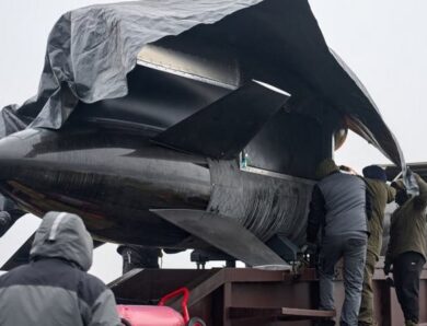 З’явилися нові фото української ракети Фламінго