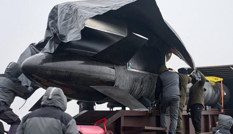 З’явилися нові фото української ракети Фламінго