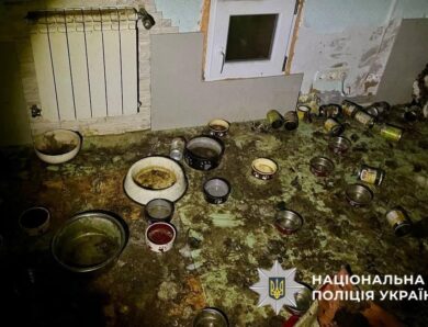 Загибель понад 50 котів на Київщині: стали відомі нові деталі