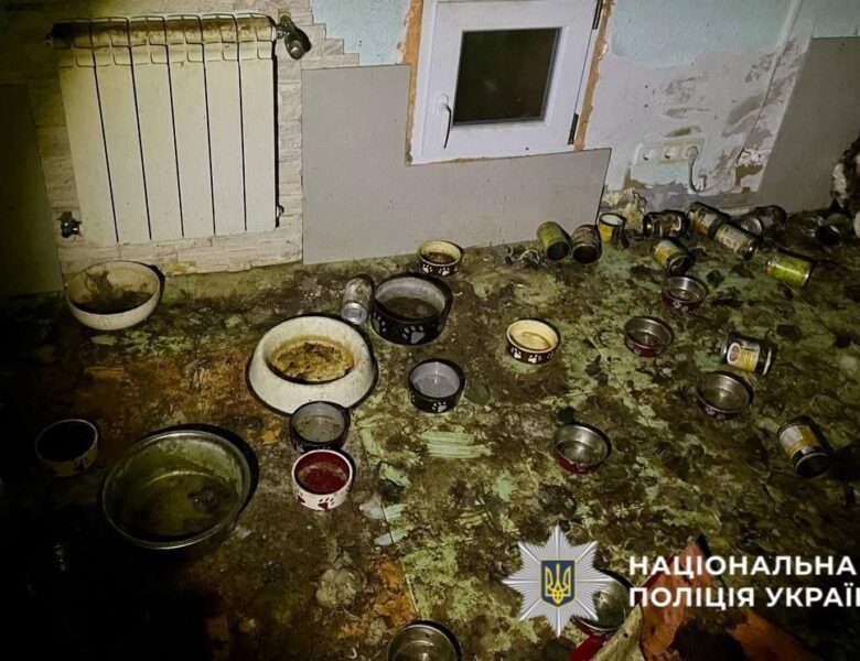 Загибель понад 50 котів на Київщині: стали відомі нові деталі
