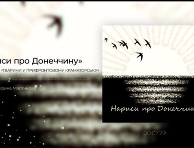 Тварини у прифронтовому Краматорську