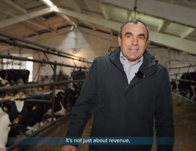 ARISE: Історії стійкості – відеопроєкт про результати підтримки українського бізнесу