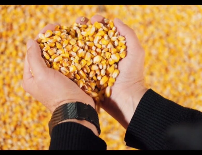 ARISE: Історія стійкості фермера з Вінниччини