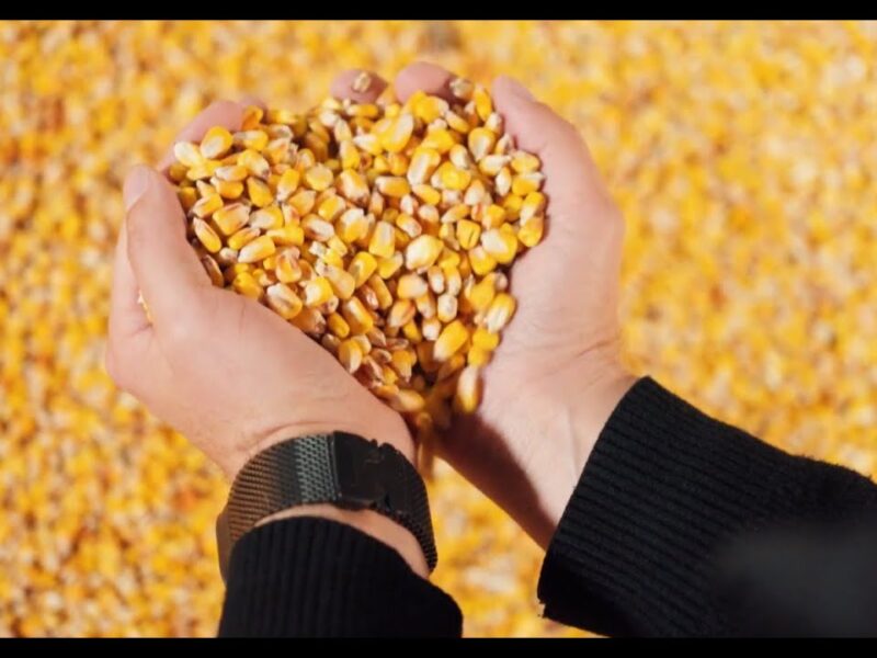 ARISE: Історія стійкості фермера з Вінниччини