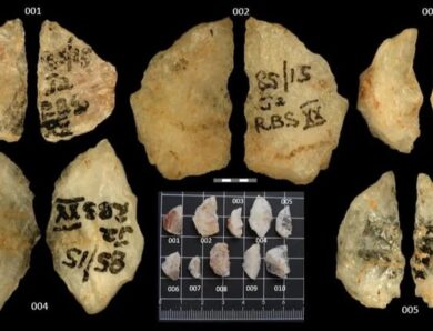 Археологи знайшли найдавнішу отруйну зброю людства віком 60 тис років