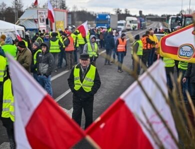 Чотири країни ЄС хочуть ще більших обмежень для української агропродукції