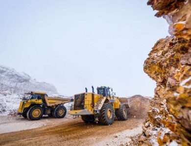 До 277 мільйонів доларів на рік Україна втратила до 15 прибуткової продукції після передачі Добра компанії, пов’язаній з другом Трампа