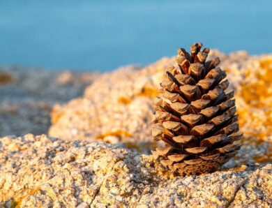 Гороскоп для всіх знаків зодіаку на 13 січня 2026 року