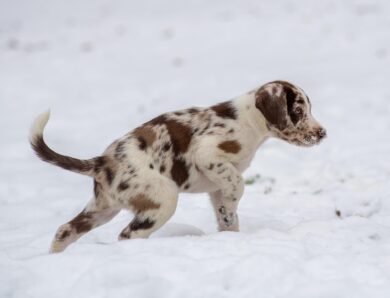 Гороскоп для всіх знаків зодіаку на 14 січня 2026 року