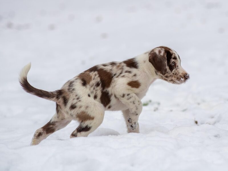 Гороскоп для всіх знаків зодіаку на 14 січня 2026 року