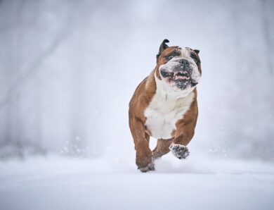 Гороскоп для всіх знаків зодіаку на 15 січня 2026 року