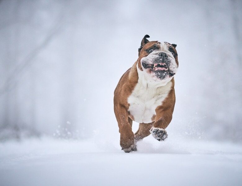 Гороскоп для всіх знаків зодіаку на 15 січня 2026 року