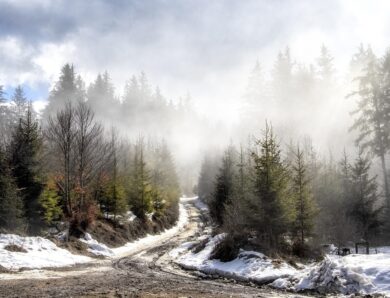 Гороскоп для всіх знаків зодіаку на 16 січня 2026 року