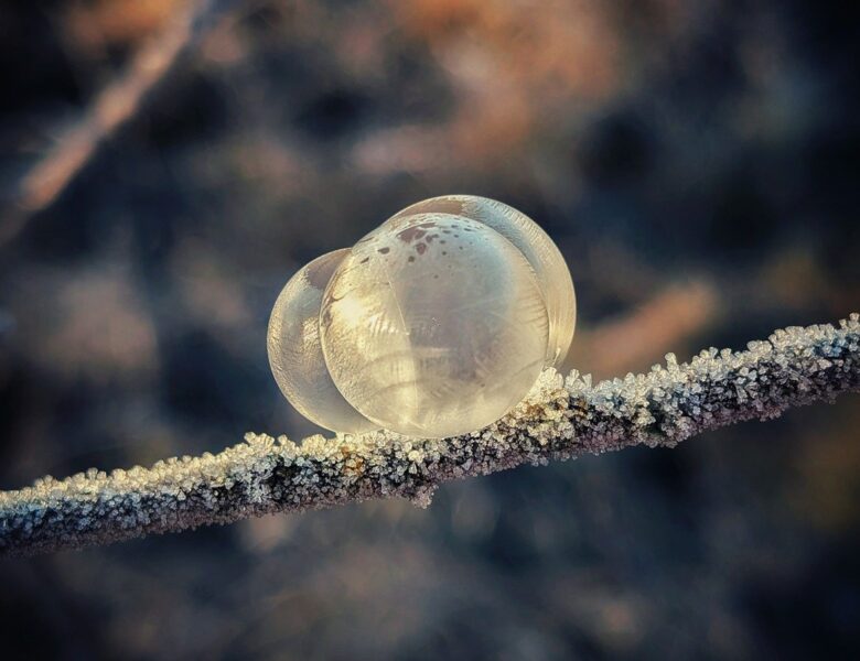 Гороскоп для всіх знаків зодіаку на 20 січня 2026 року