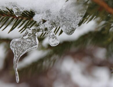 Гороскоп для всіх знаків зодіаку на 21 січня 2026 року