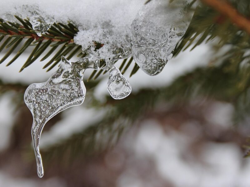 Гороскоп для всіх знаків зодіаку на 21 січня 2026 року
