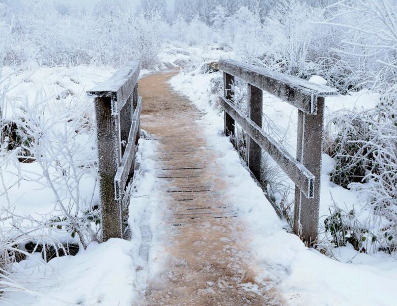 Гороскоп для всіх знаків зодіаку на 23 січня 2026 року