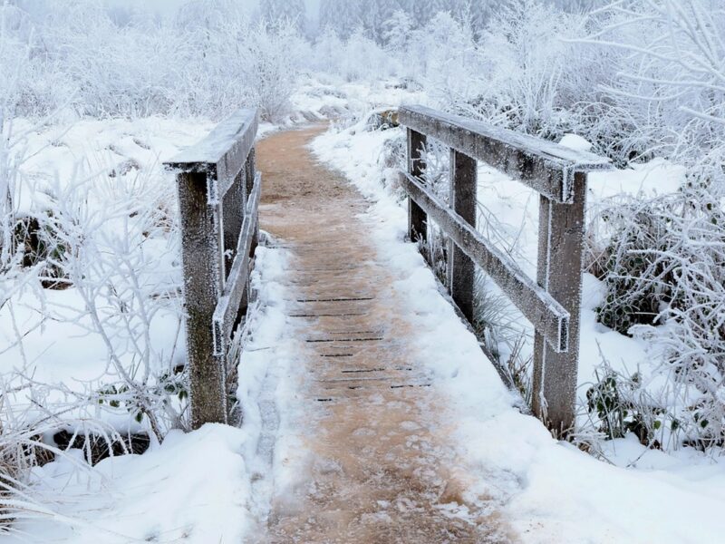 Гороскоп для всіх знаків зодіаку на 23 січня 2026 року