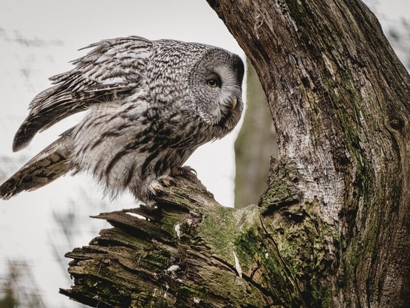 Гороскоп для всіх знаків зодіаку на 29 січня 2026 року