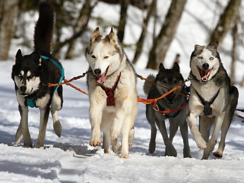 Гороскоп для всіх знаків зодіаку на 30 січня 2026 року
