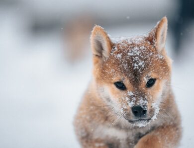 Гороскоп для всіх знаків зодіаку на 7 січня 2026 року